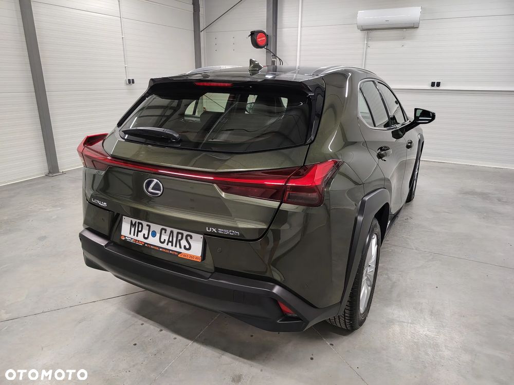 Lexus UX 250h Elegance 2WD - 13