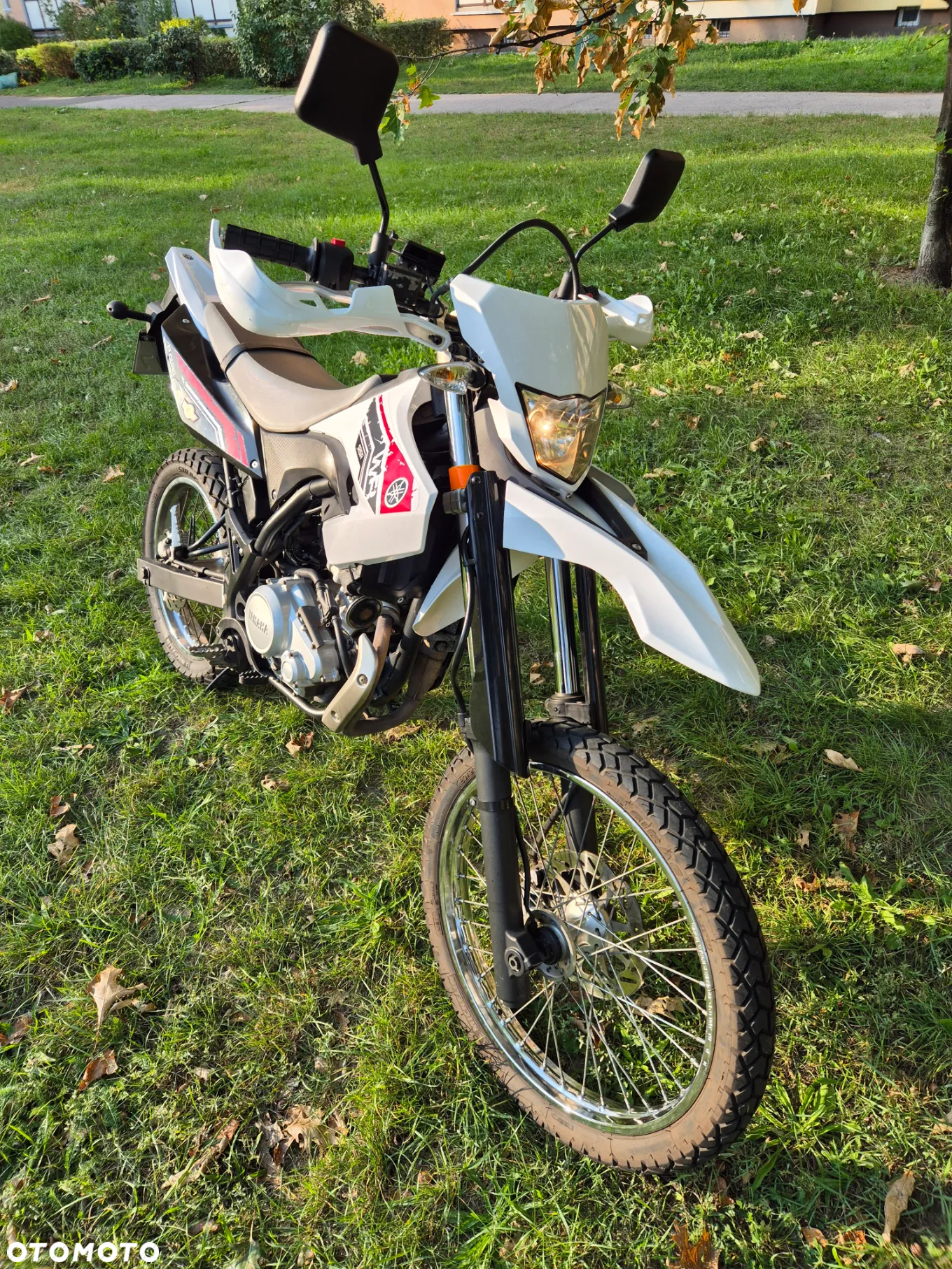 Yamaha WR
