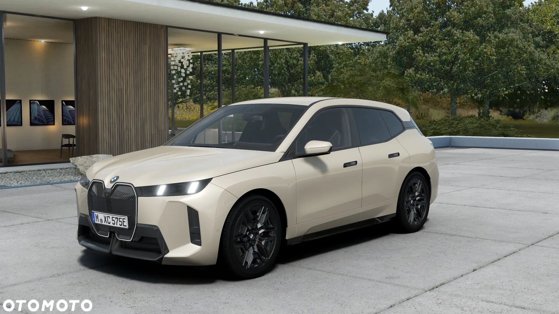 BMW iX xDrive45 100.6kWh - 1