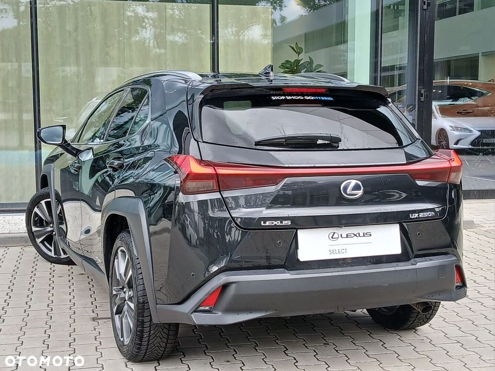 Lexus UX 250h GPF Business Edition 2WD - 11
