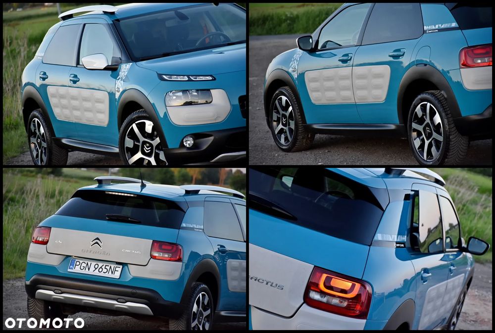 Citroën C4 Cactus BlueHDi 100 Stop&Start Rip Curl - 14