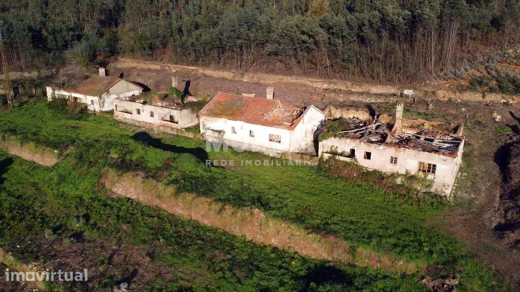 Quinta com 2 hectares para recuperar junto ao Rio Caima - Grande imagem: 5/12