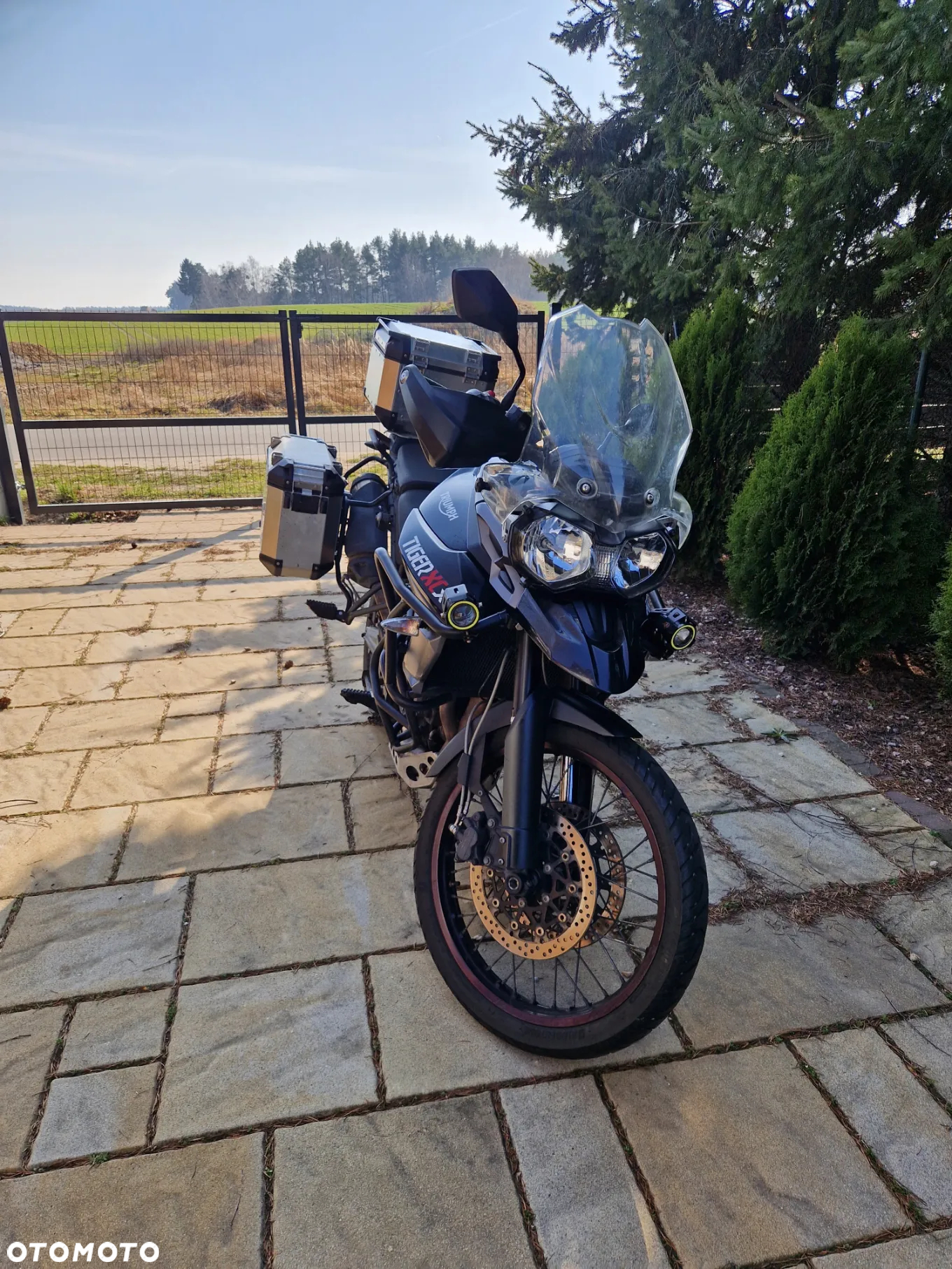 Triumph Tiger - 2