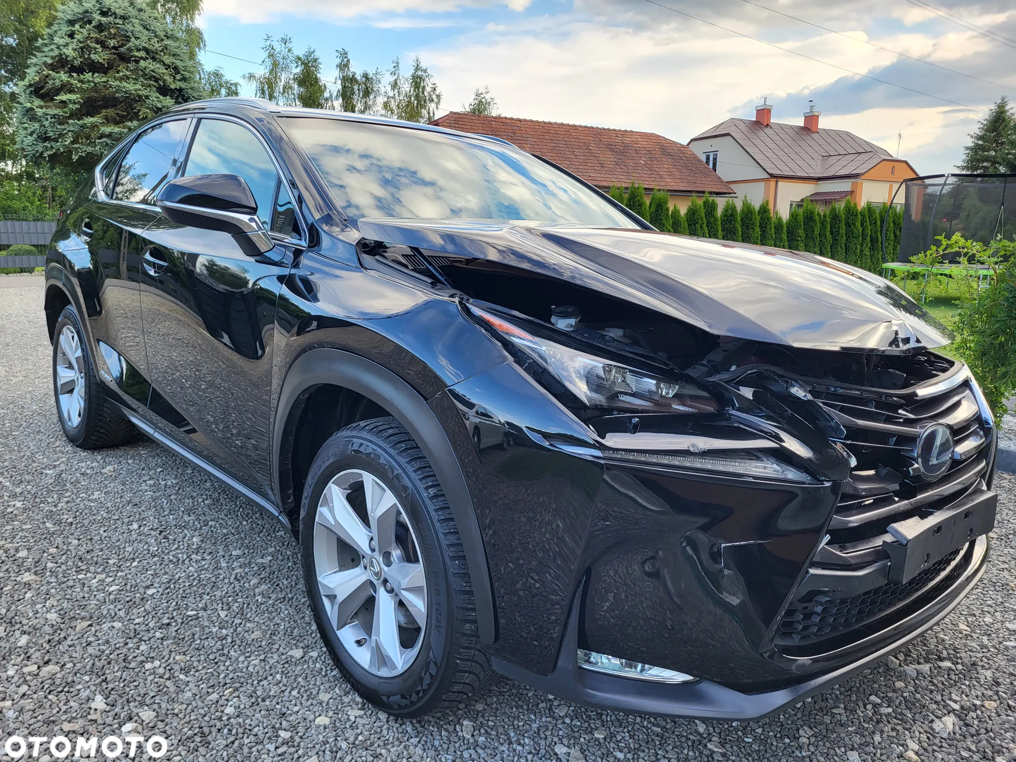 Lexus NX 300h Business Edition - 5