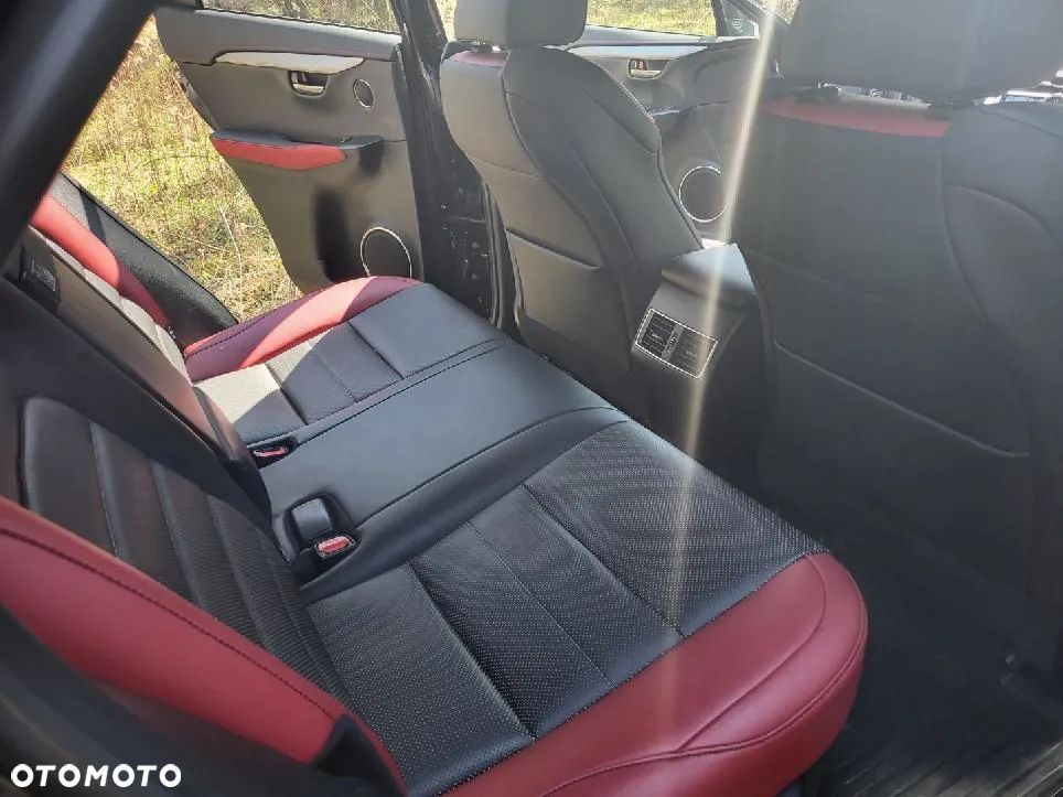 Lexus NX 300 GPF F Sport AWD - 19