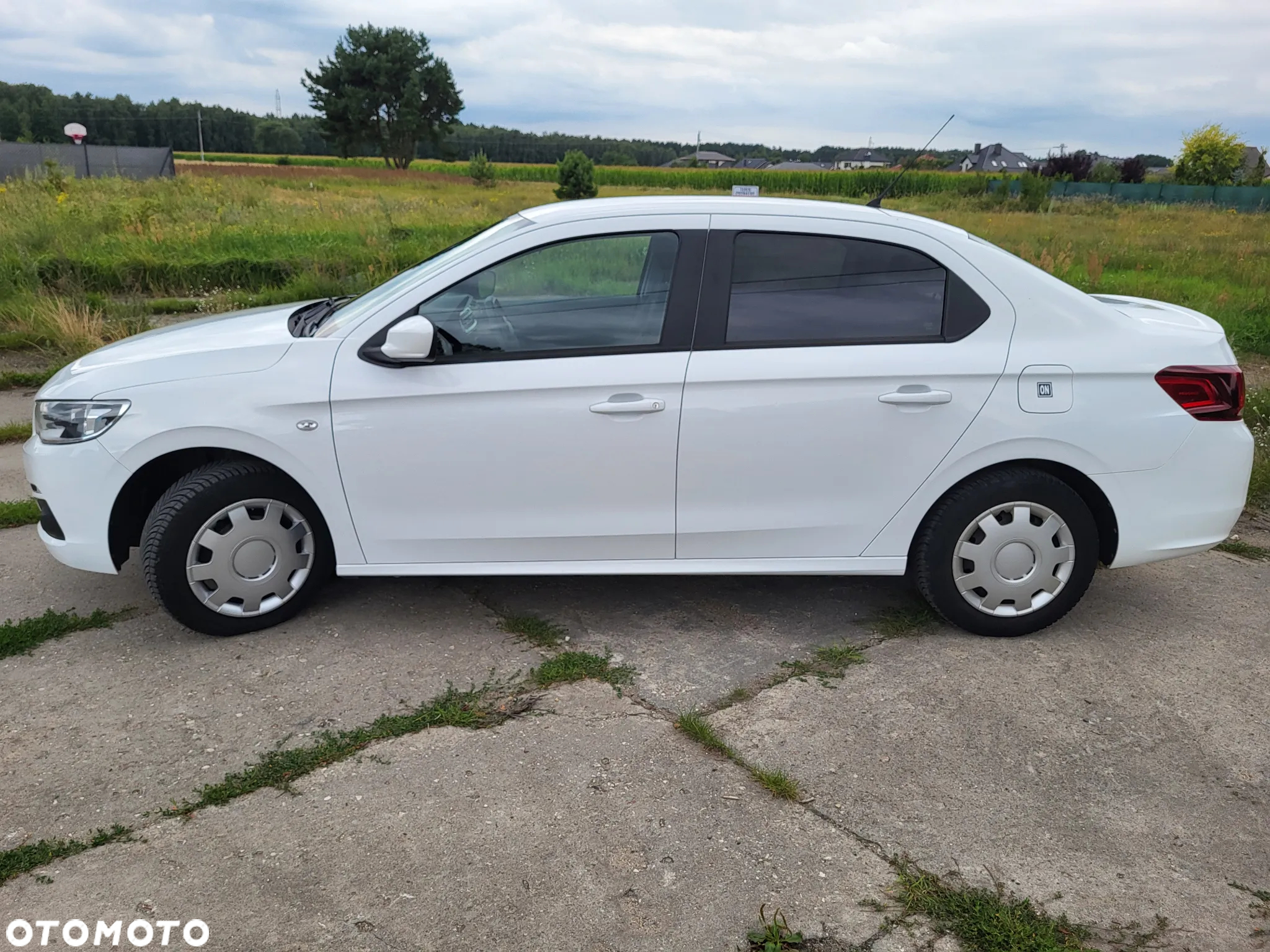 Peugeot 301 - 3