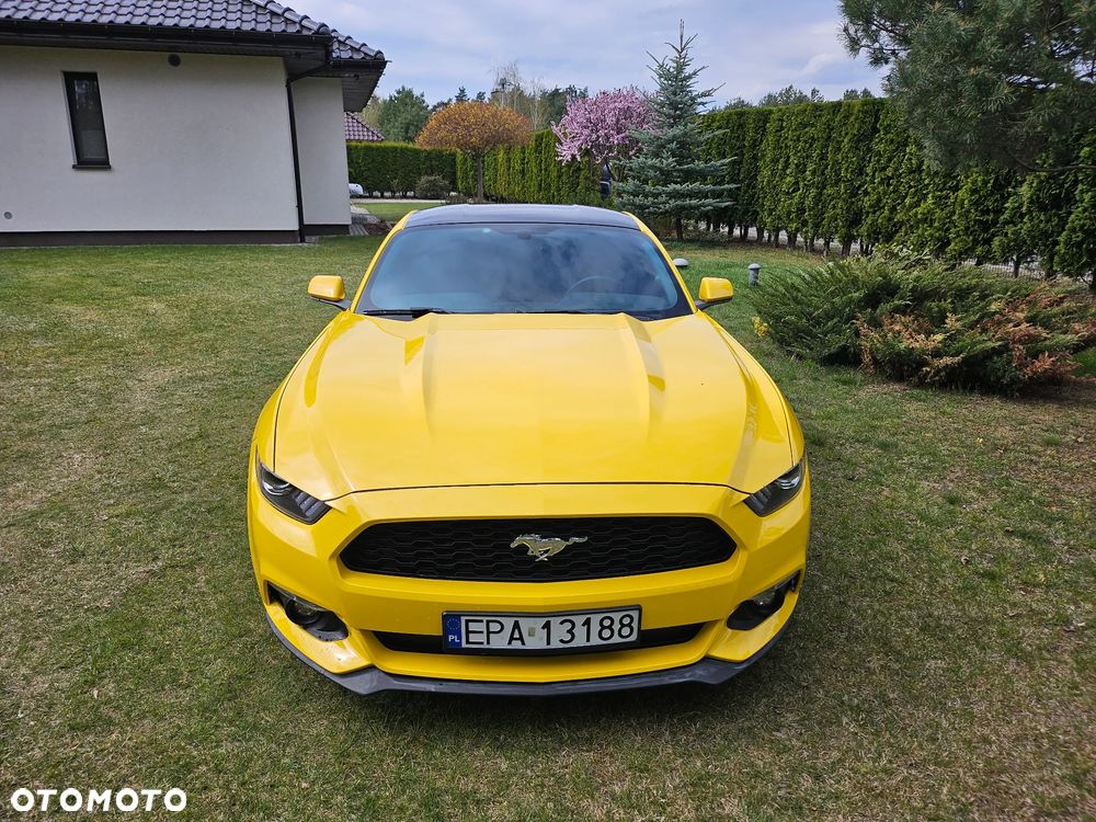 Ford Mustang 3.7 V6 - 3