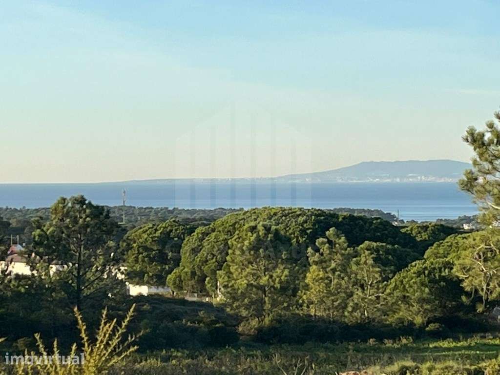 Terreno Exclusivo com Projeto Aprovado e Vista Mar | 10.000 m² | Fo... - Grande imagem: 5/19