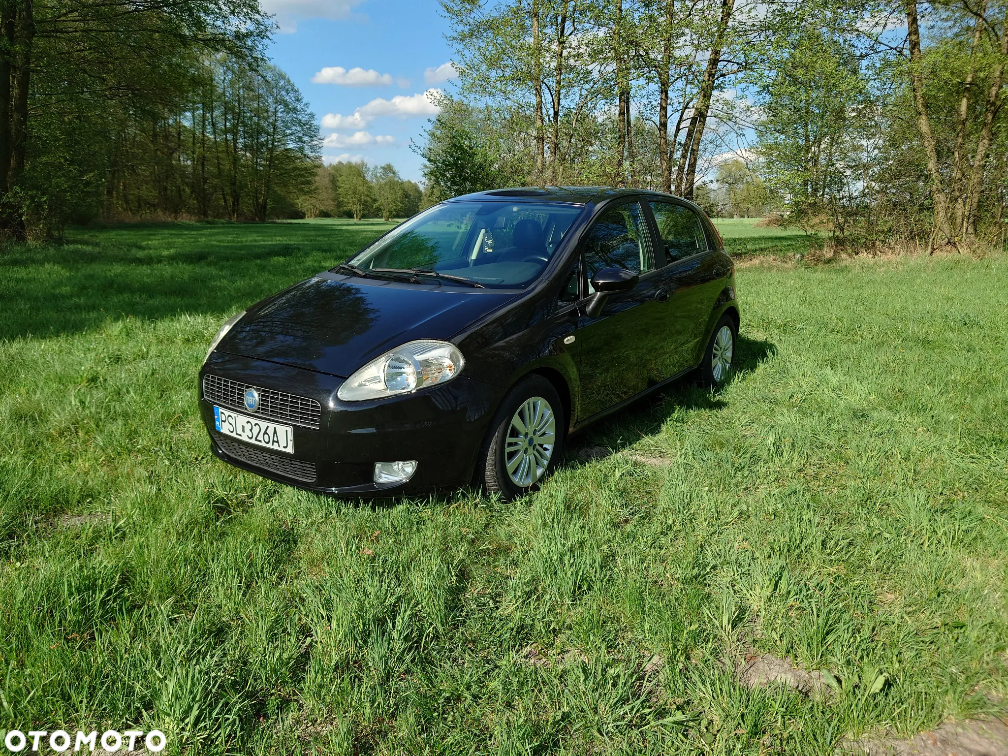 Fiat Grande Punto 1.9 Multijet 8V Sport - 13