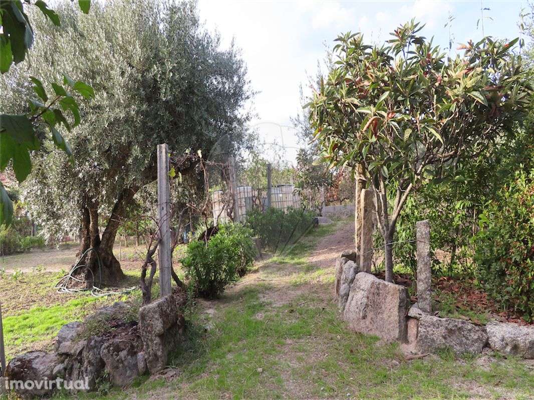 Quinta  para venda - Grande imagem: 4/34