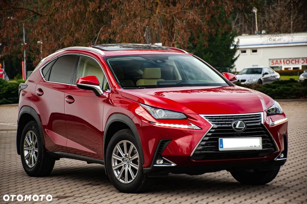 Lexus NX - 1