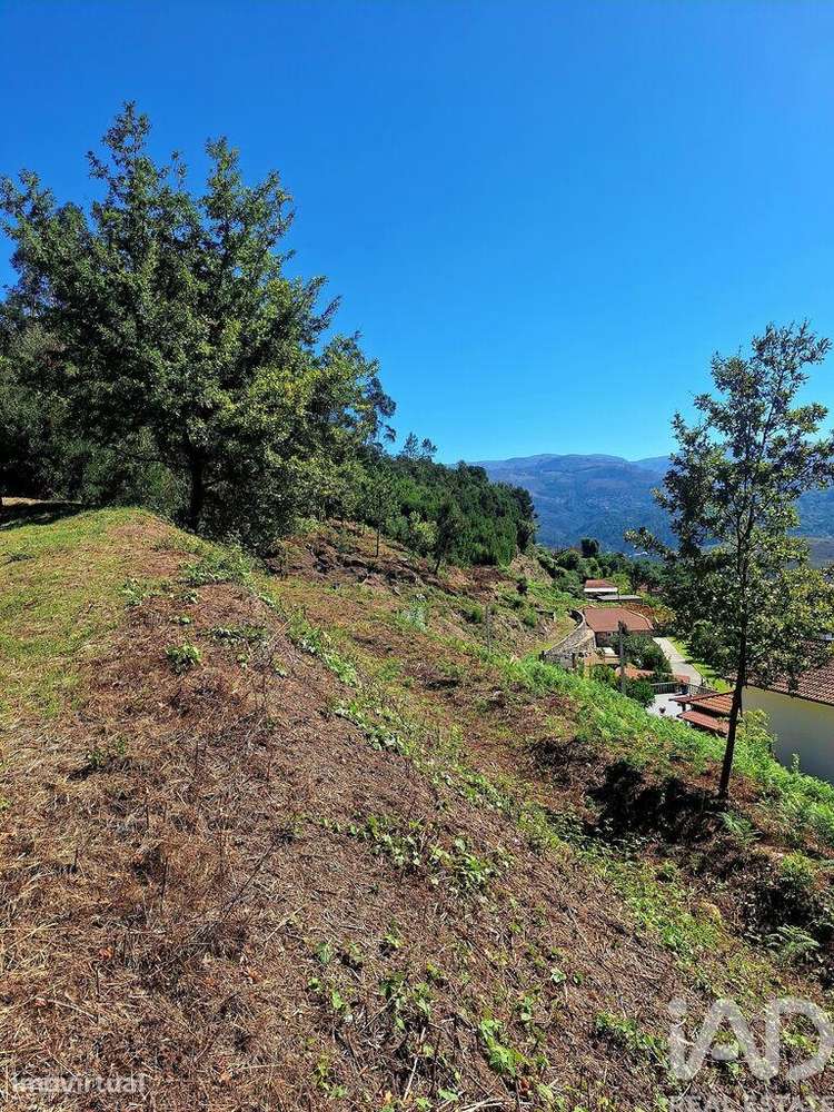 Terreno Agrícola em Portela e Extremo - Grande imagem: 2/7