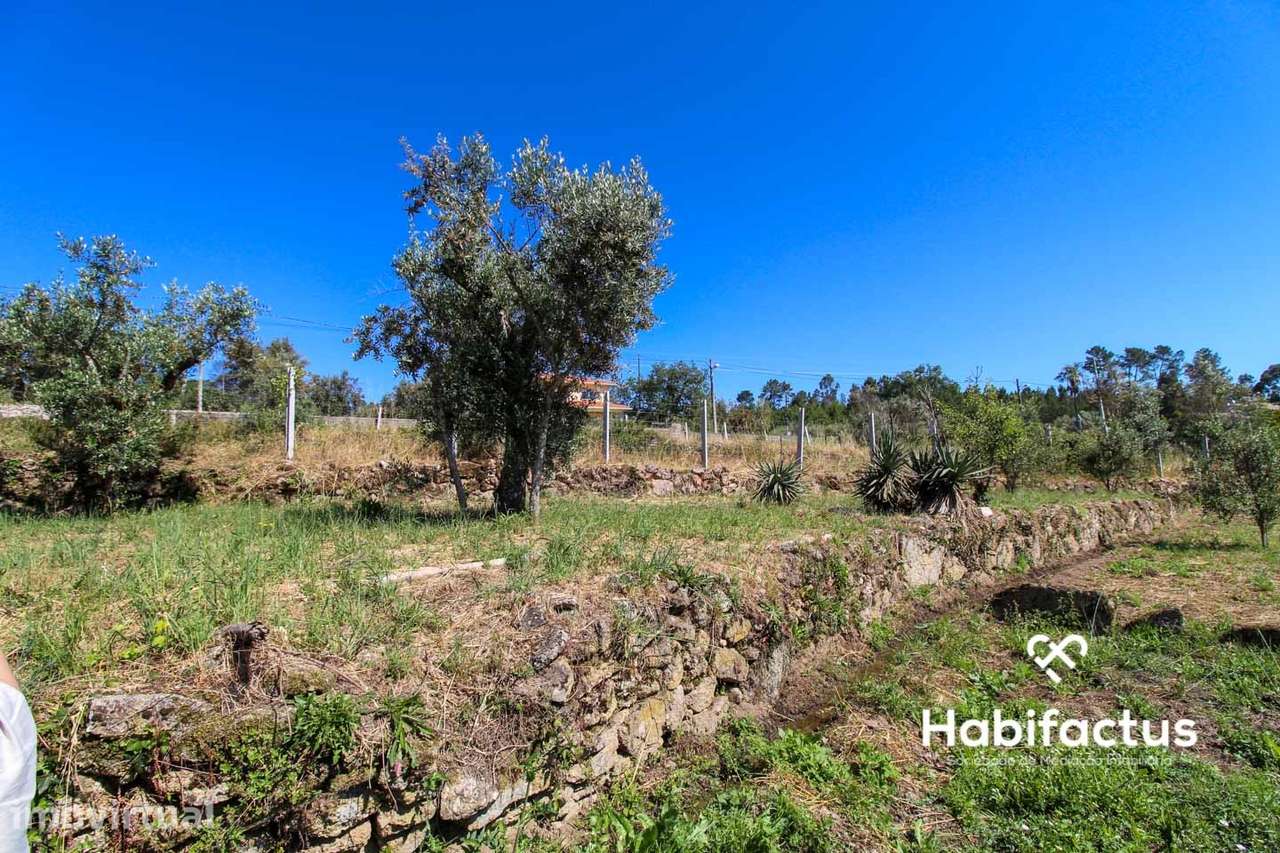 Terreno com viabilidade para construção a 9 km de Mangualde - Grande imagem: 5/6