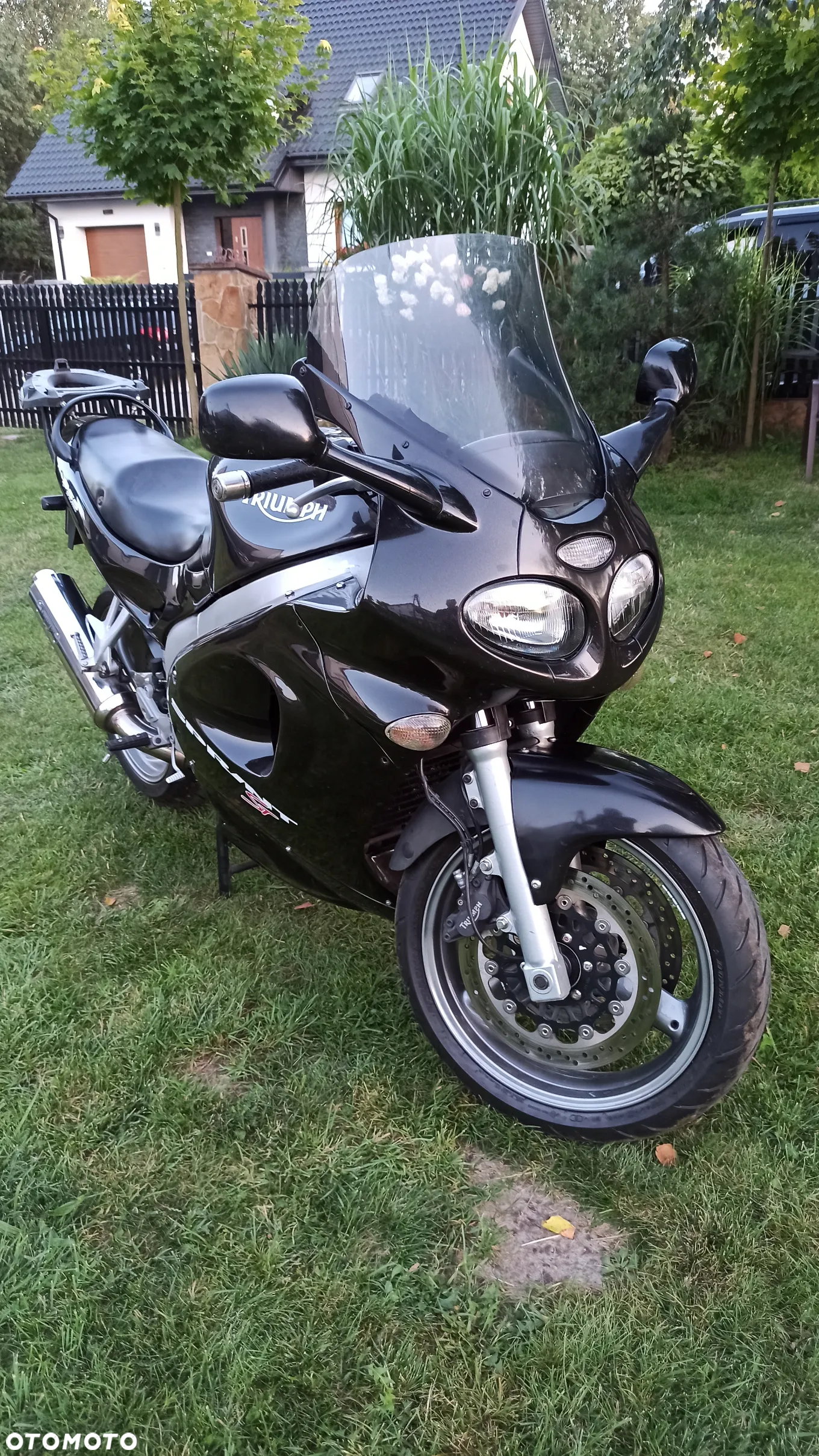 Triumph Sprint - 7