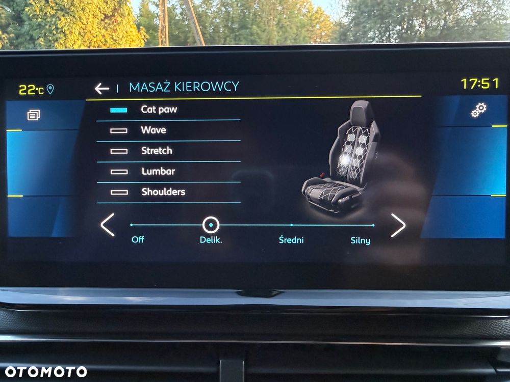 Peugeot 3008 1.6 PureTech HYbrid4 GT S&S EAT8 - 31