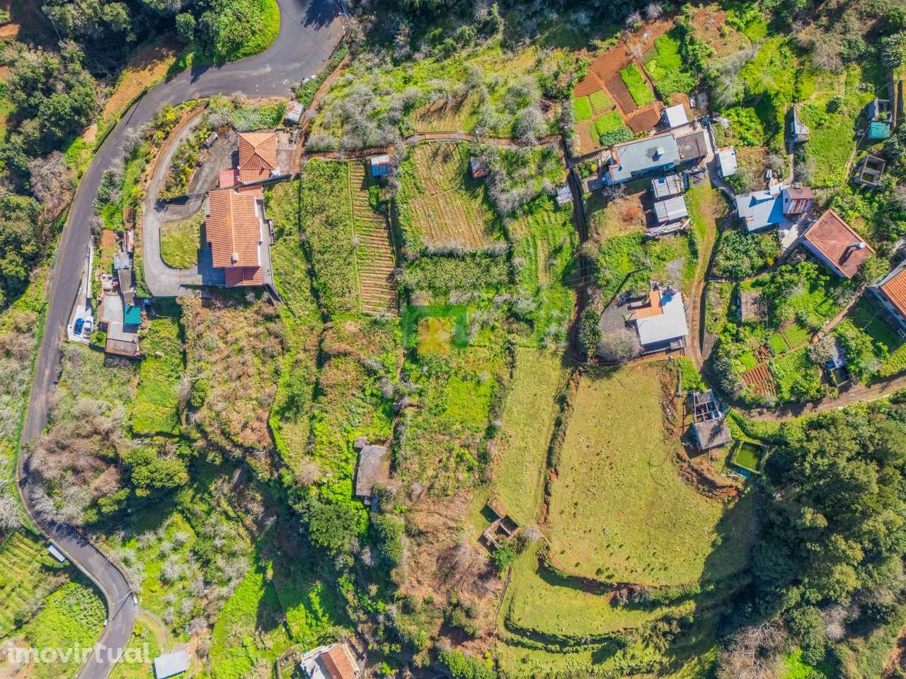 Terreno - São Roque  do Faial - Grande imagem: 3/13