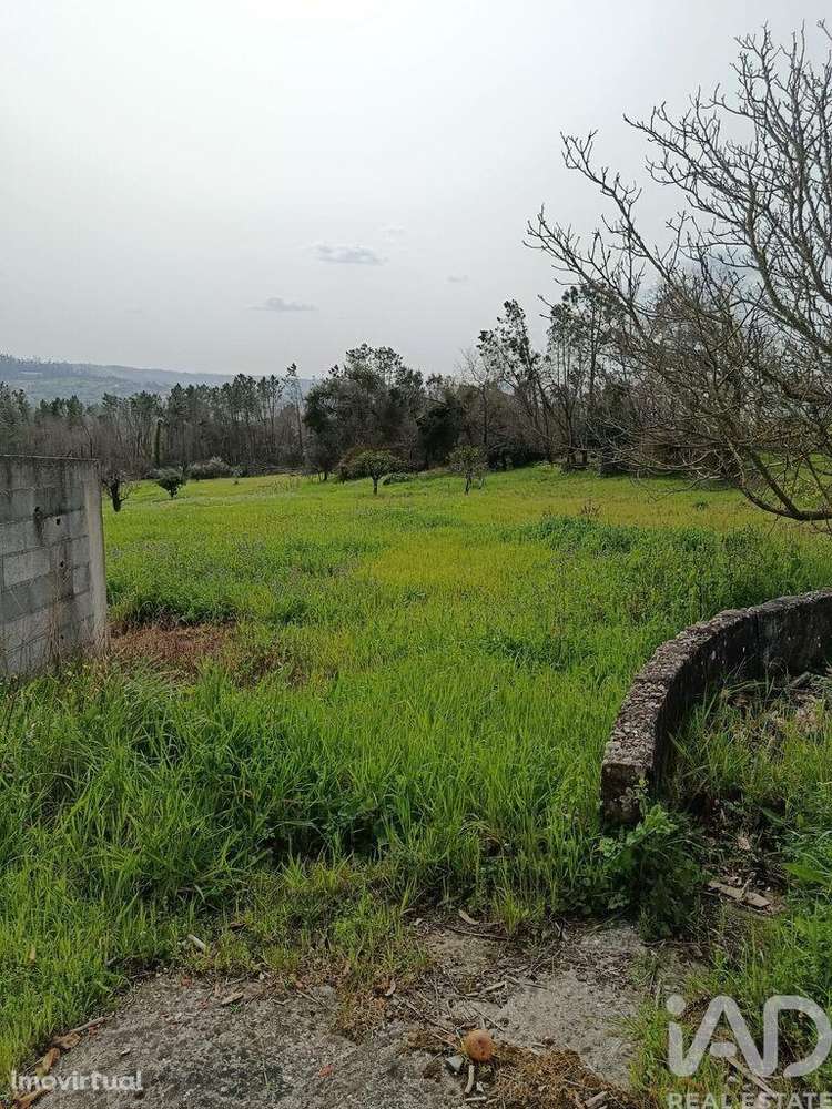 Casa / Villa T2 em Santiago e São Simão de Litém e Albergaria dos Doze - Grande imagem: 5/17