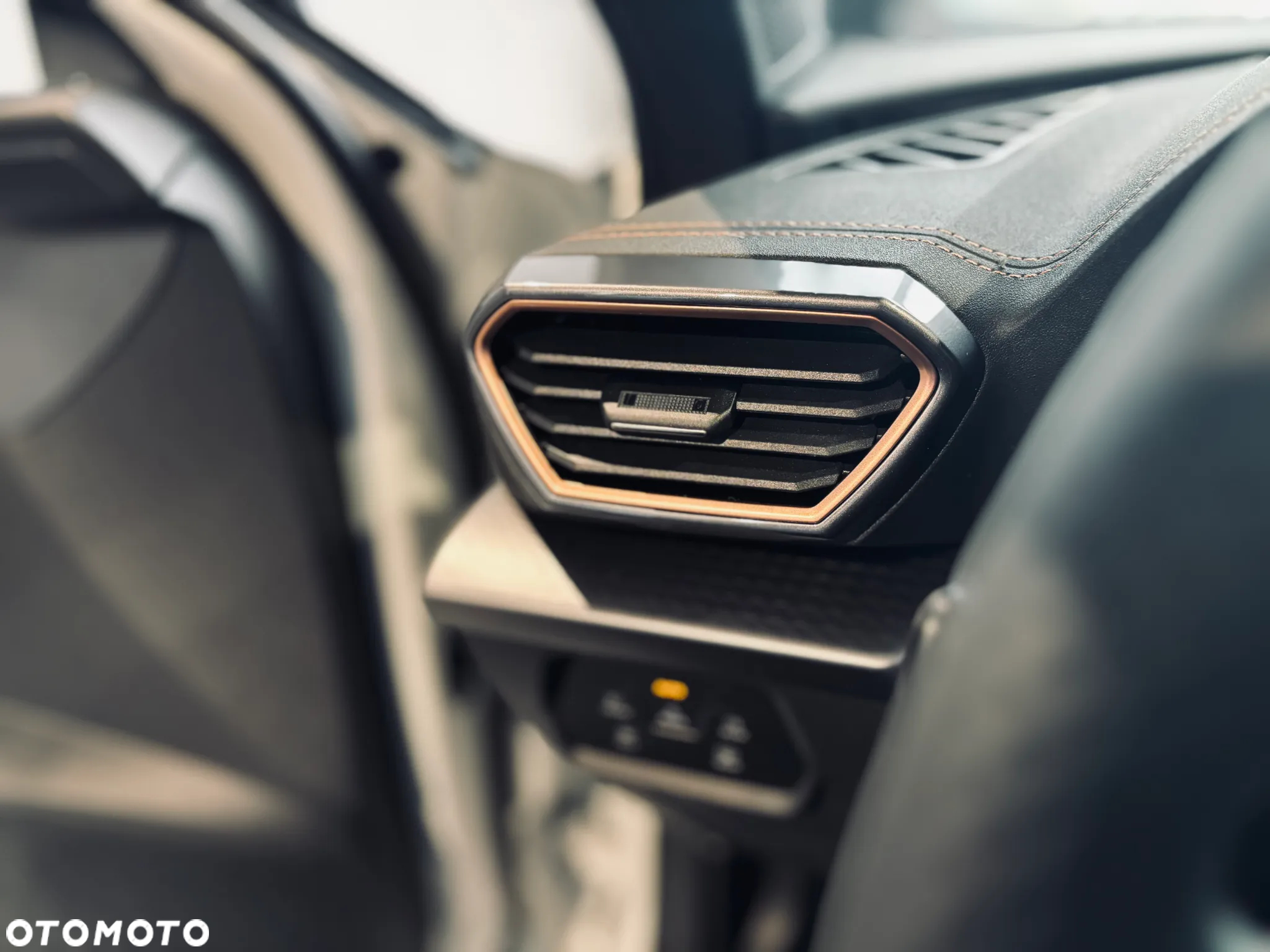 Cupra Formentor - 14