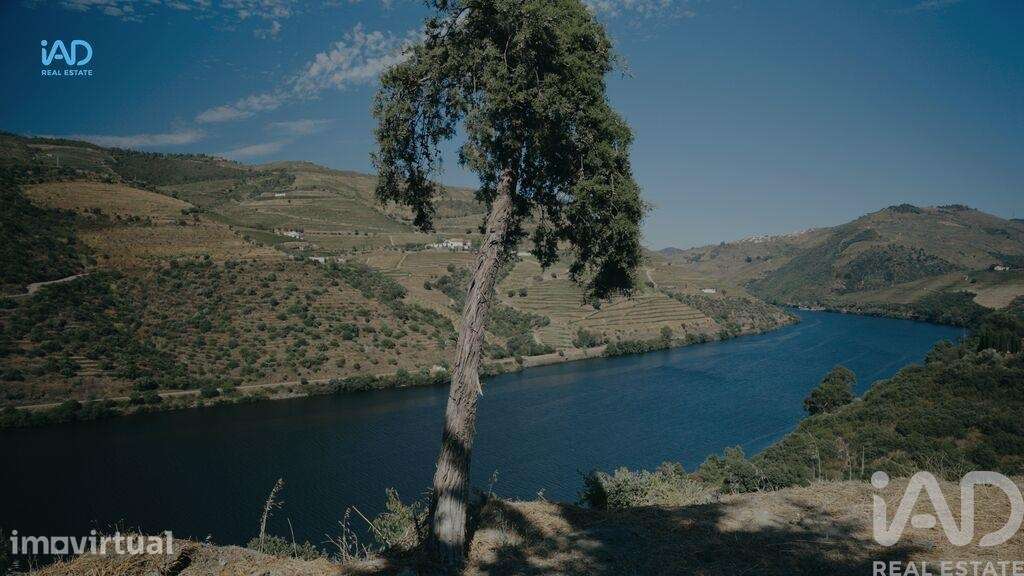Terreno em Adorigo