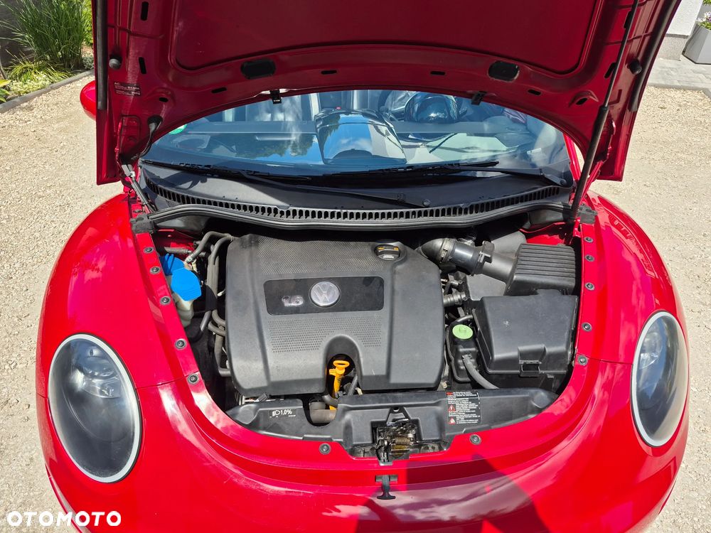 Volkswagen New Beetle 1.6 Freestyle - 8