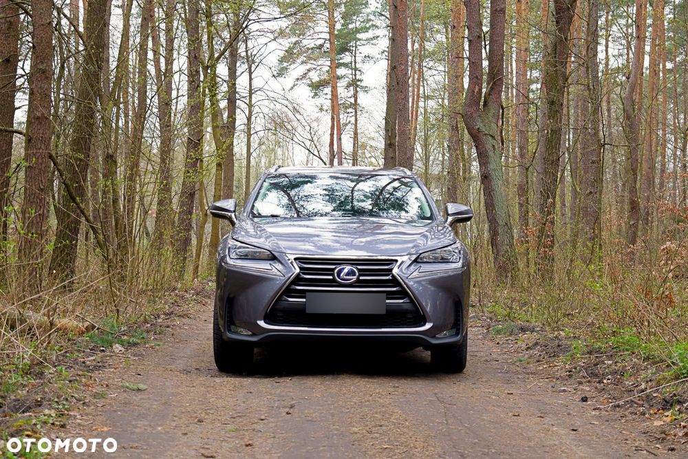 Lexus NX 300h Elegance AWD - 6