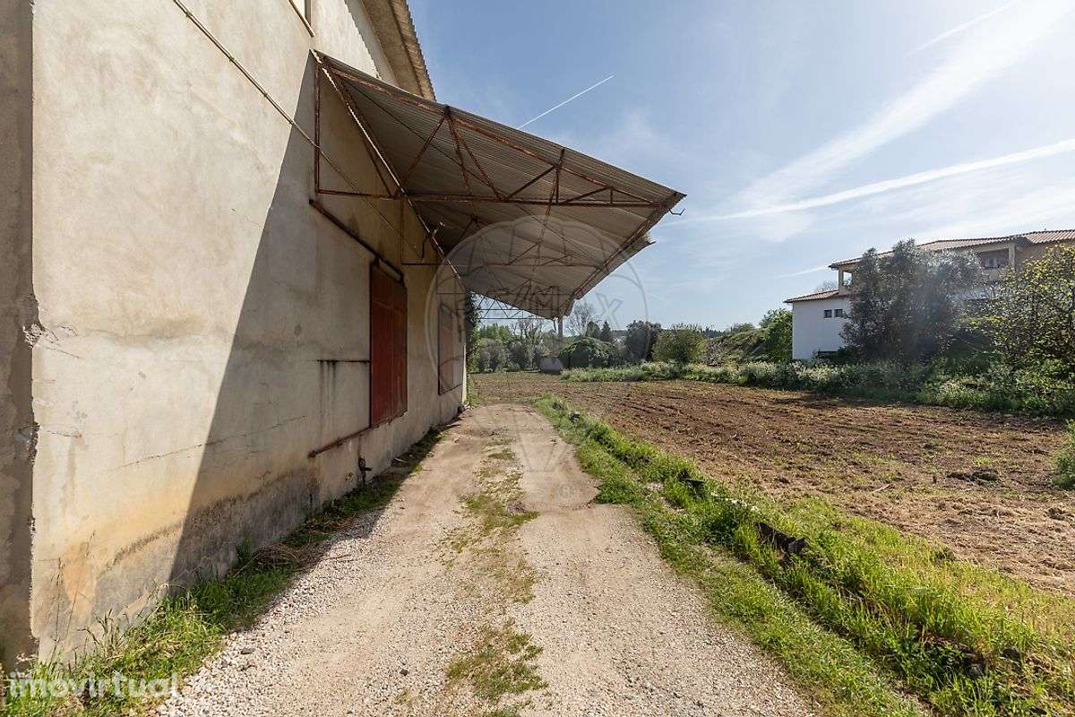 Armazém  para venda - Grande imagem: 3/40