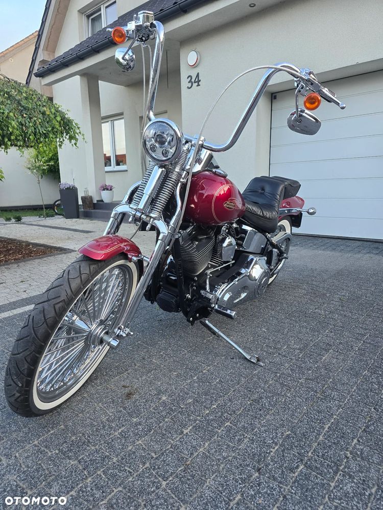 Harley-Davidson Softail Springer Classic - 4