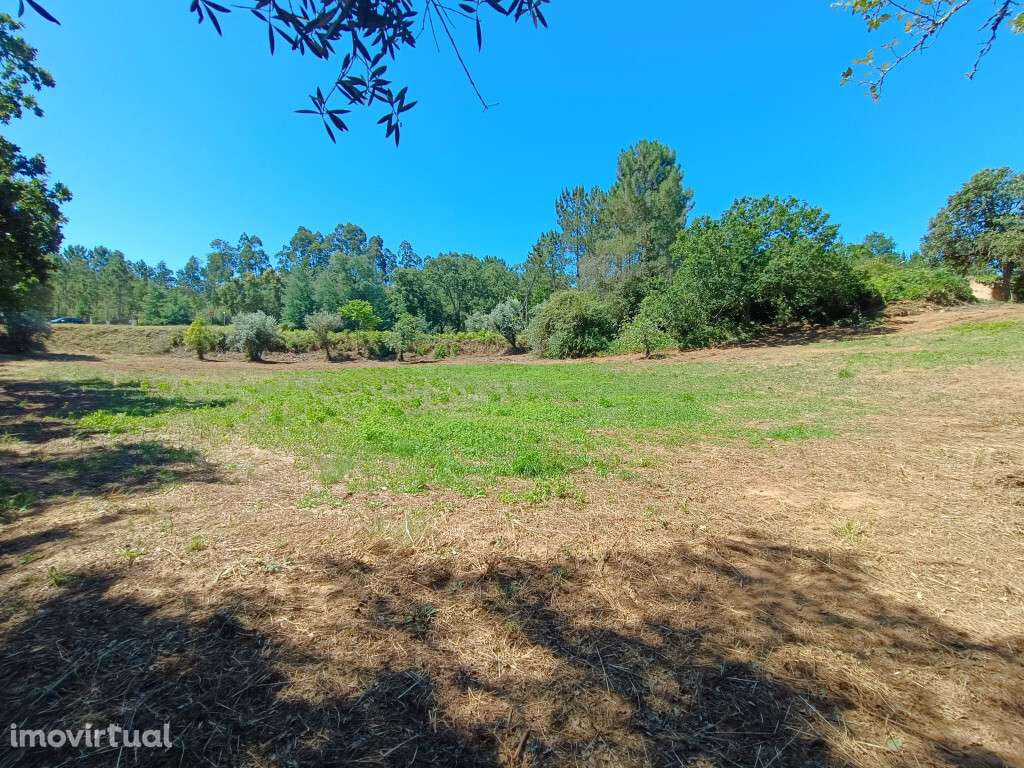 Moradia Isolada M6 em zona de Vila Nova de Poiares - Grande imagem: 4/6