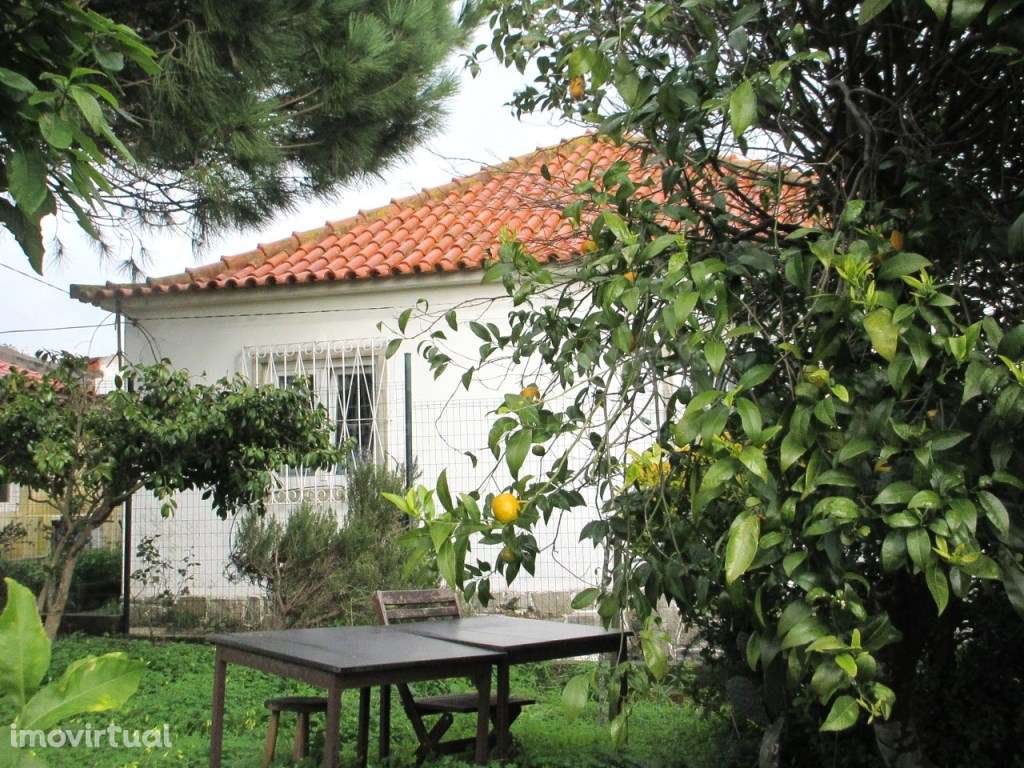 Terreno urbano com 2 moradias, rendimento e potencial construtivo -... - Grande imagem: 5/18