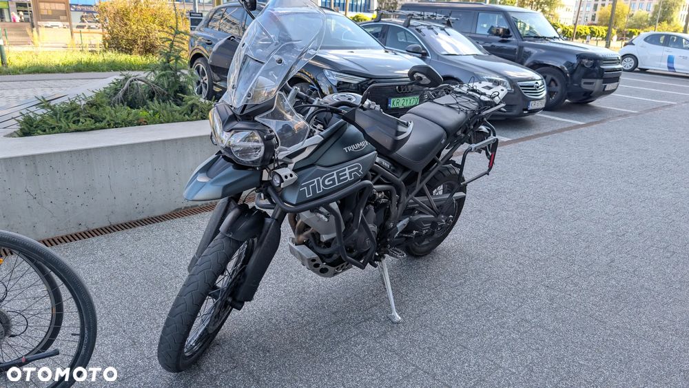 Triumph Tiger - 1