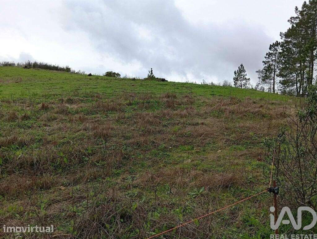 Terreno Agrícola em Ameixial - Grande imagem: 4/8
