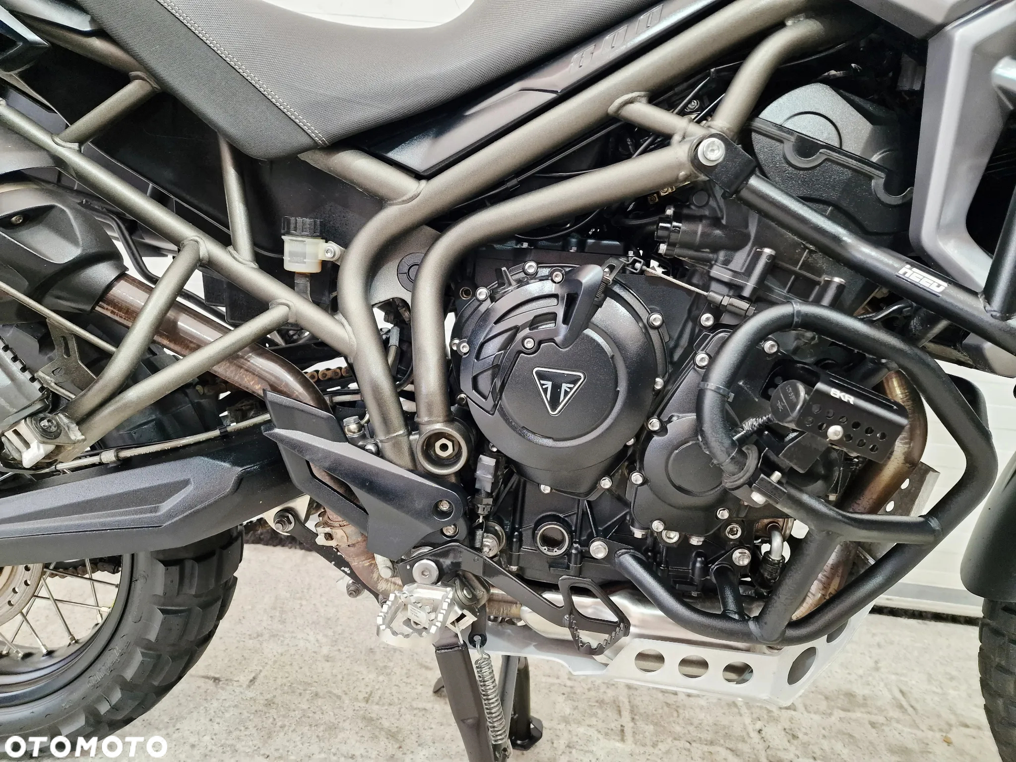 Triumph Tiger - 22