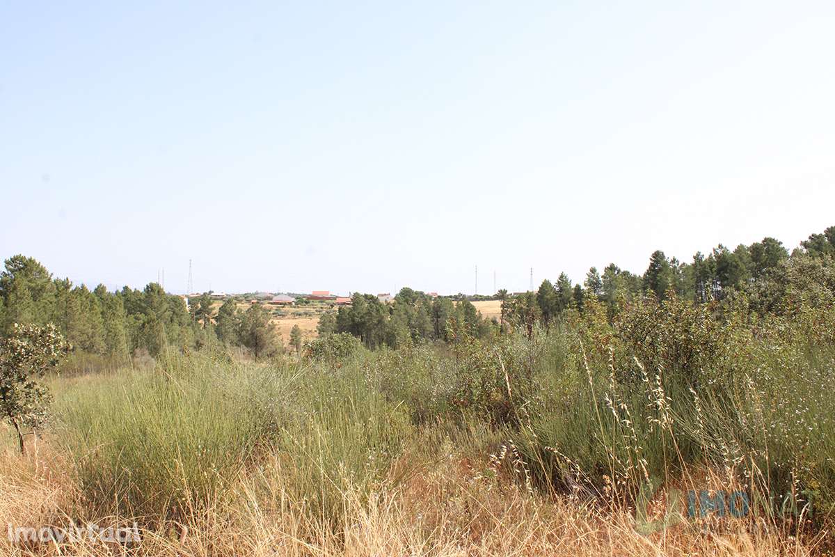 Terreno - Grande imagem: 4/26