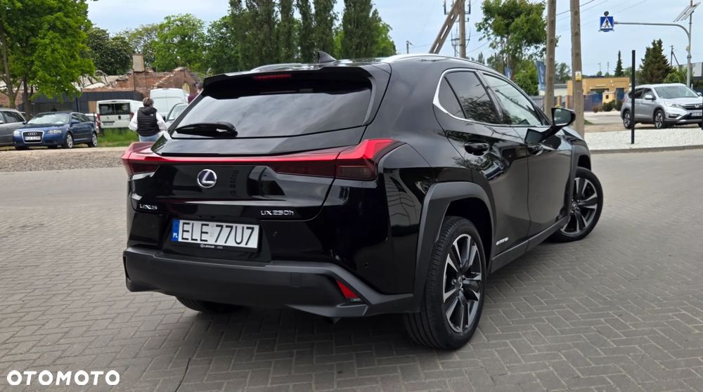 Lexus UX 250h GPF Prestige 2WD - 16