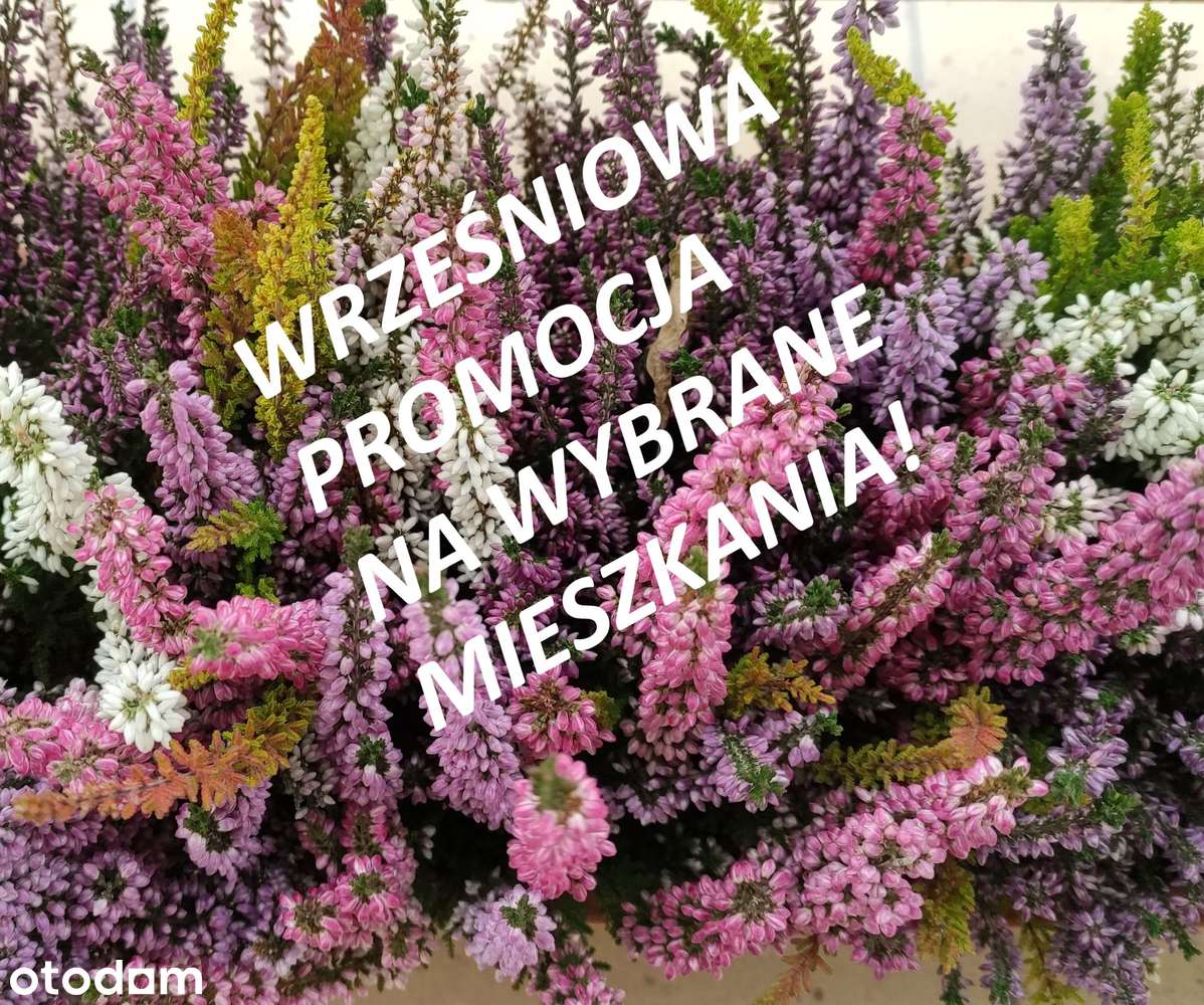 Mieszkanie na sprzedaż, 3 pokoje, 63 m², Biedrusko