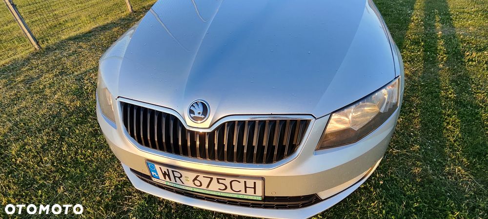 Skoda Octavia 1.6 TDI Ambition - 14