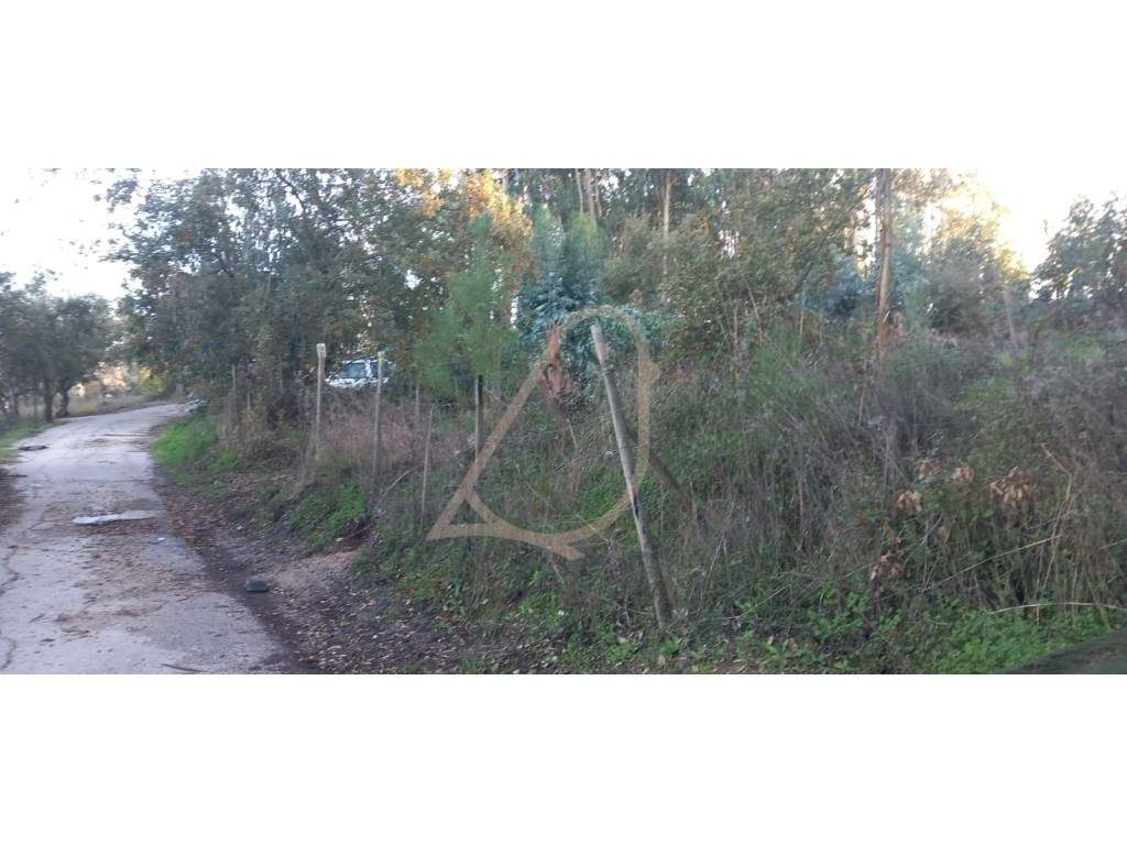 Terreno Urbano/Construção/Ourém - Grande imagem: 3/4