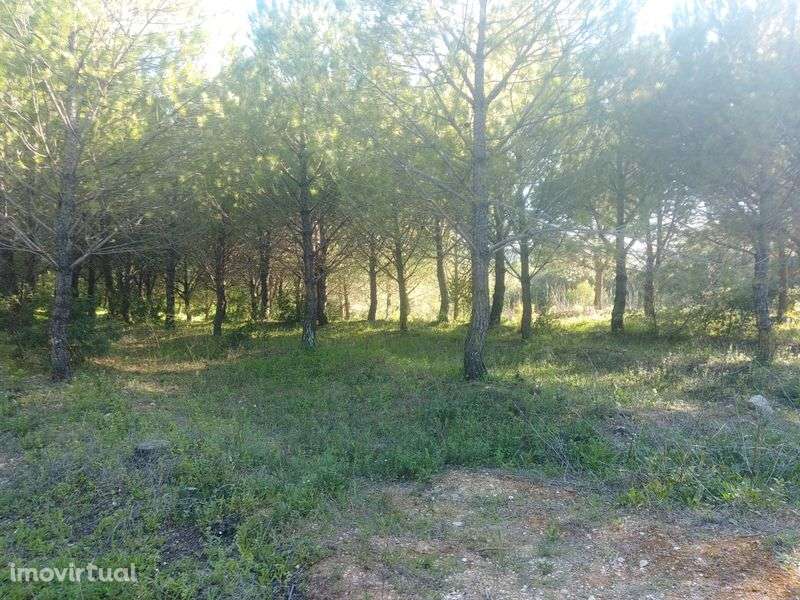 Prédio rústico com boa localização e acesso - Grande imagem: 3/3