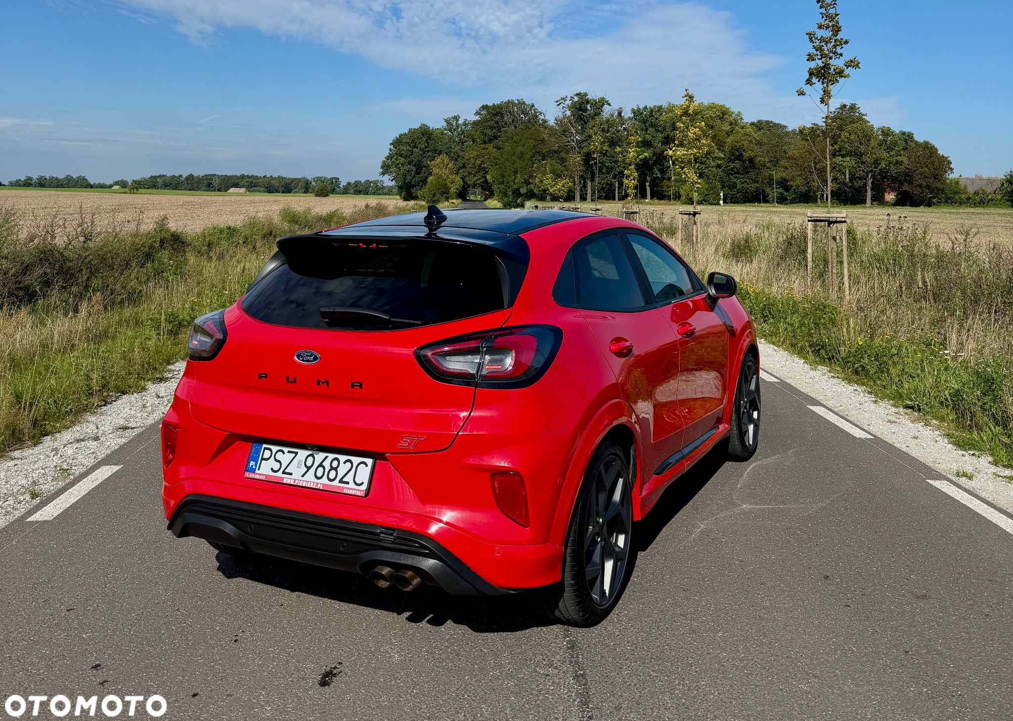 Ford Puma 1.5 EcoBoost ST - 6