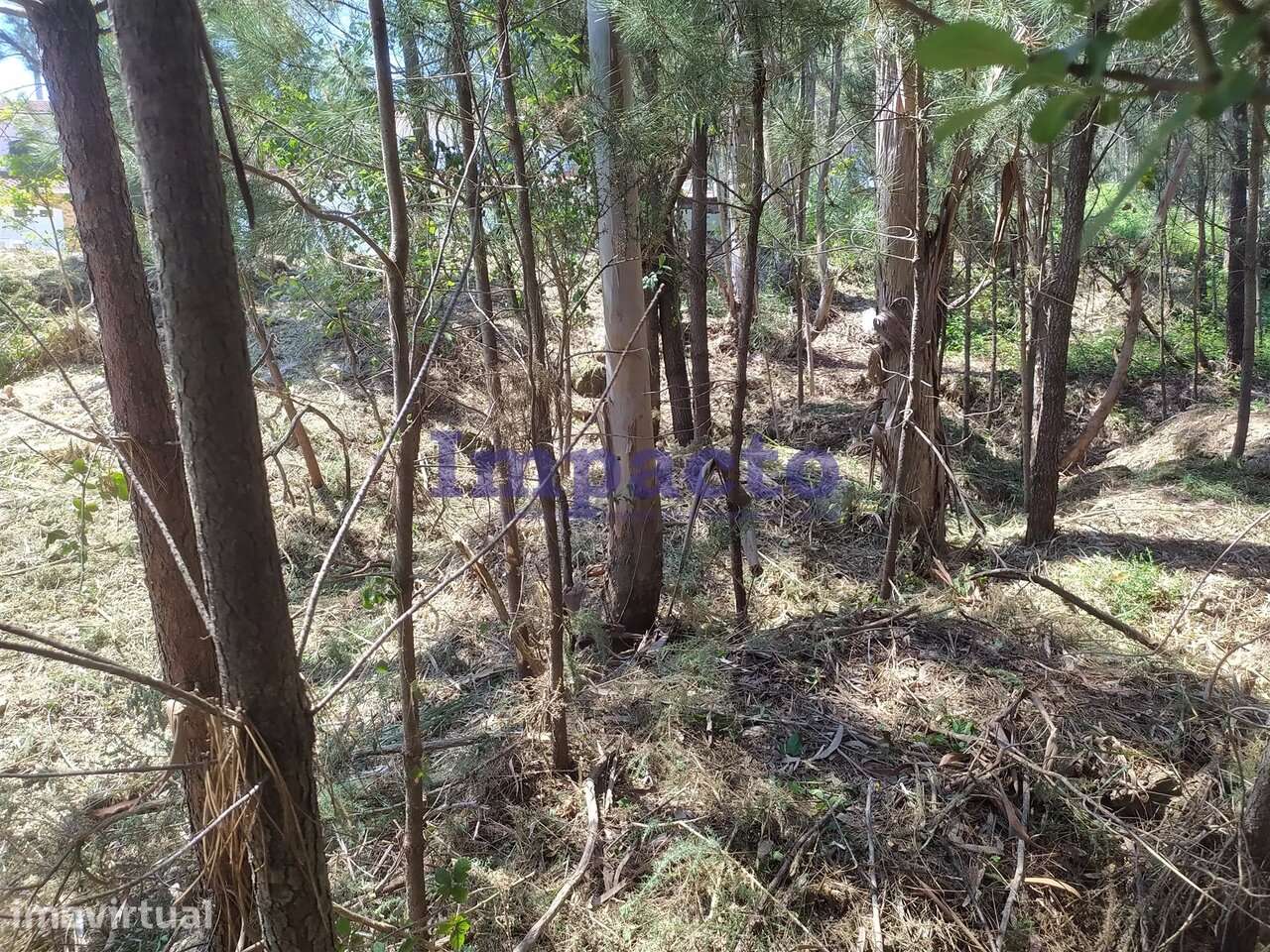 Lote de terreno em zona habitacional Monte Cesar Oliveira de Azeméis - Grande imagem: 3/4