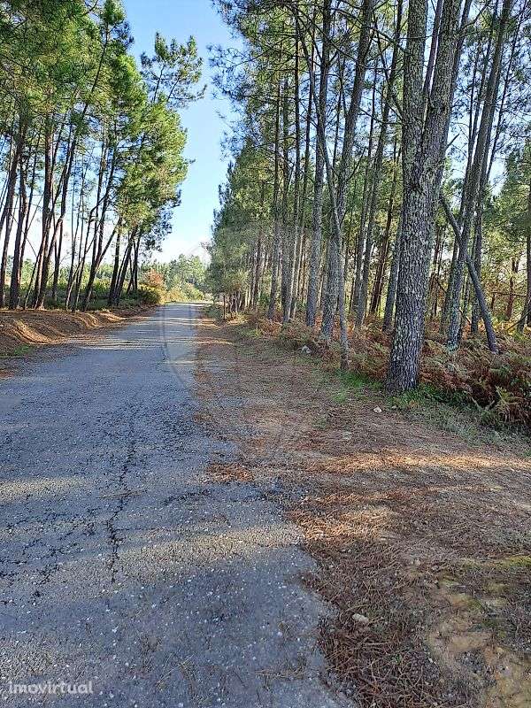 Terreno  para venda - Grande imagem: 3/15