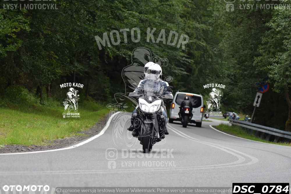 Suzuki DL
