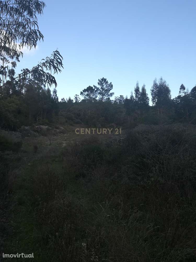 Terreno || Venda - Grande imagem: 5/10