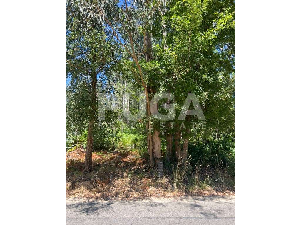 Oportunidade única em Vila Maior - Terreno com 1824 m2 e óptima loc... - Grande imagem: 3/4