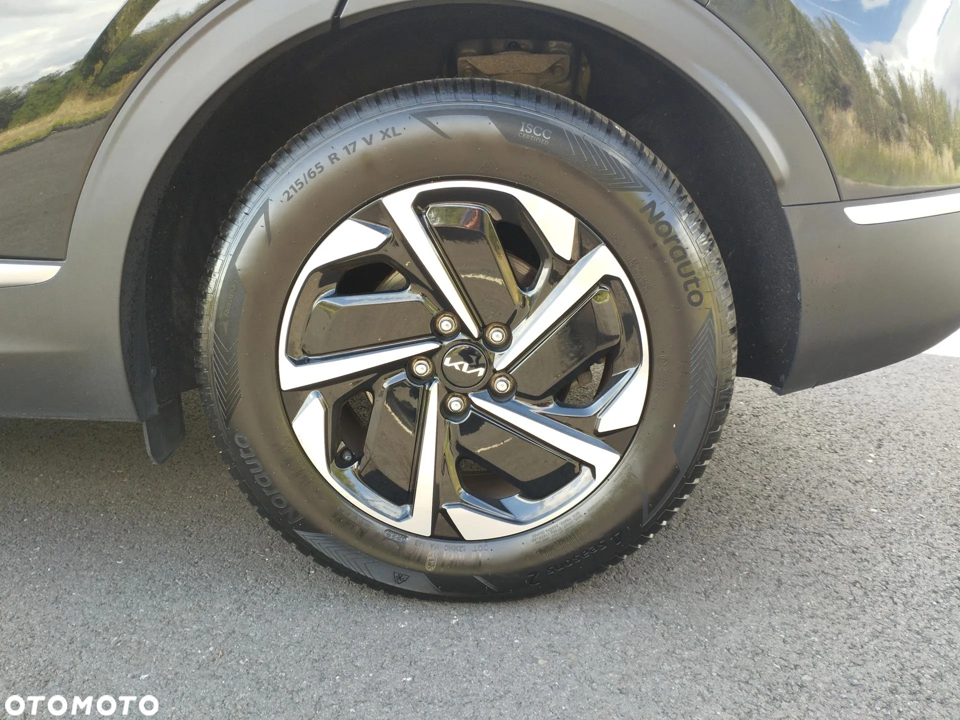 Kia Sportage 1.6 T-GDI MHEV L 2WD DCT - 18