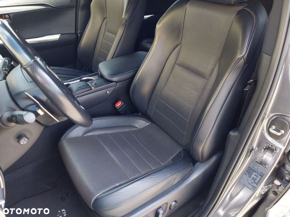 Lexus NX 300h F Sport Edition AWD - 19