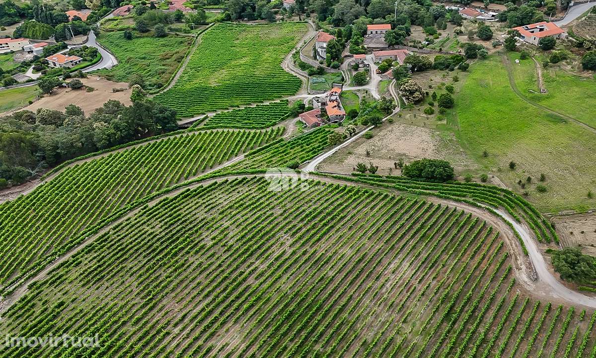 Quinta 80.000m² - Monte Córdova - Grande imagem: 4/11