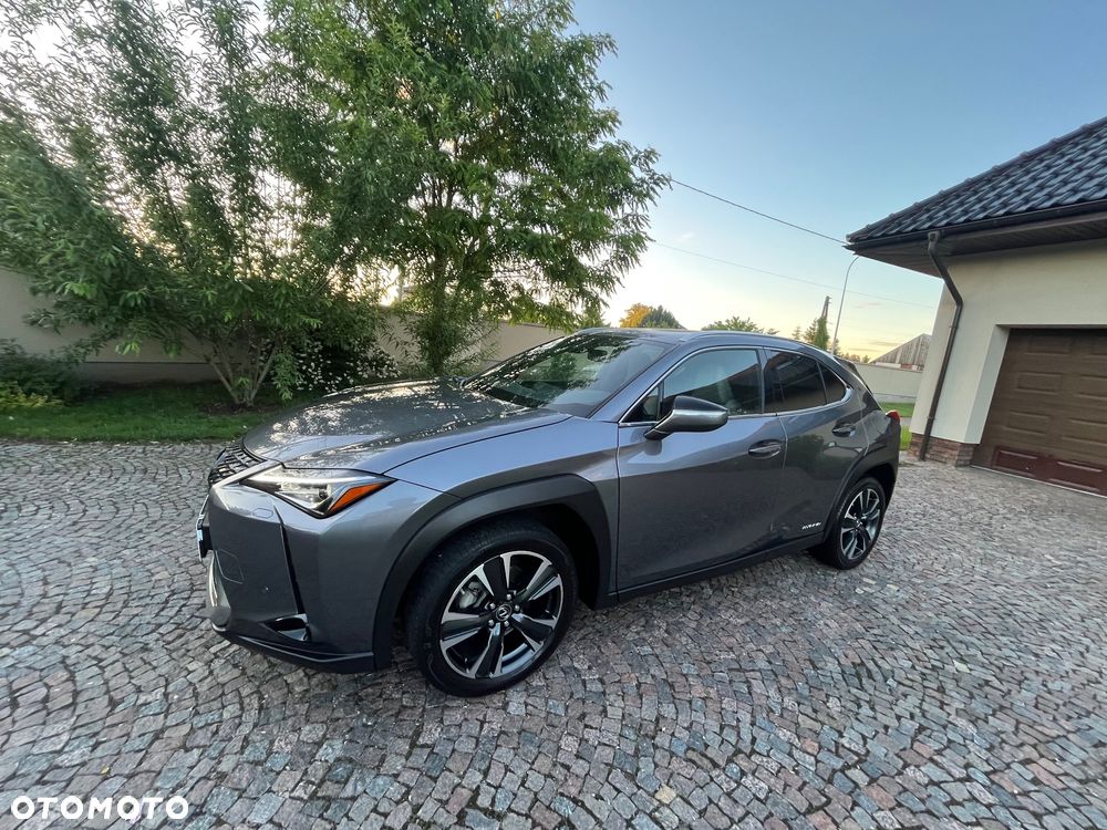 Lexus UX 250h Elegance 2WD - 4