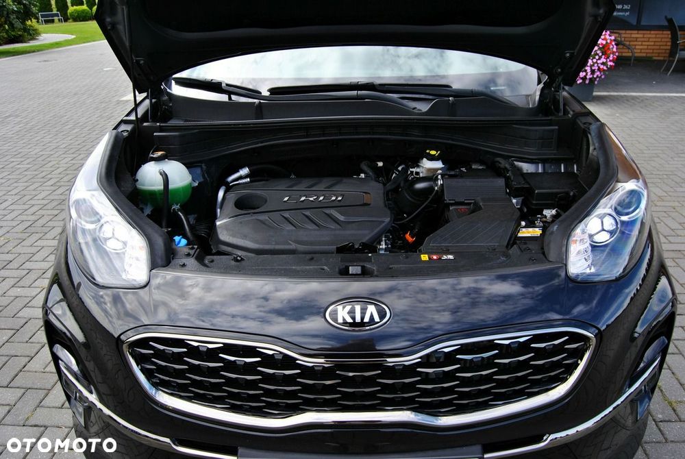 Kia Sportage - 18