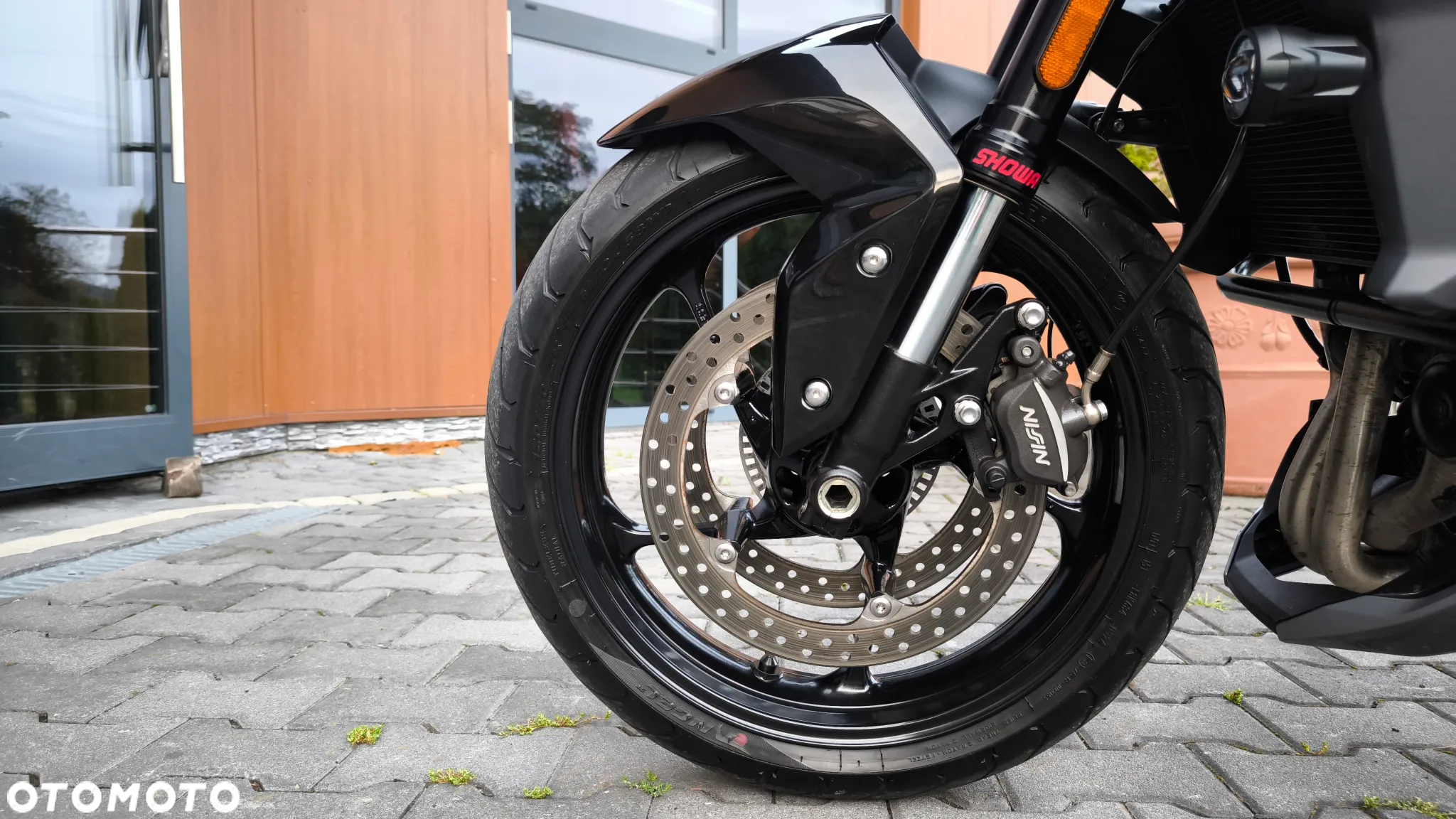 Triumph Tiger - 26